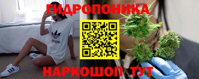 стаф Будённовск