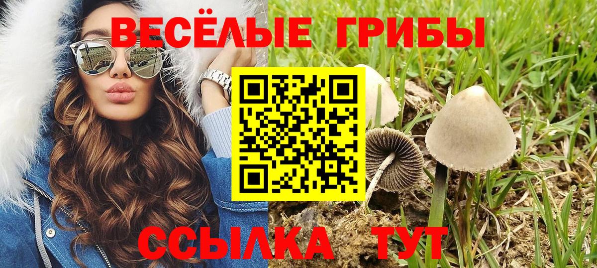 Псилоцибиновые грибы прущие грибы  Вход с VPN  Саянск 